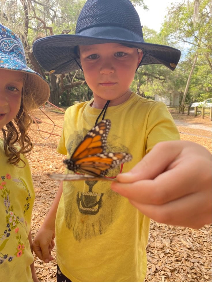 10 Ideas to Teach Kids Compassion Towards Animals